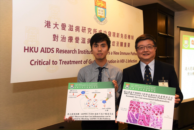 香港大學李嘉誠醫學院微生物學系教授、愛滋病研究所所長陳志偉教授（右）及博士後研究員張嘉龍博士在記者招待會上合照。
